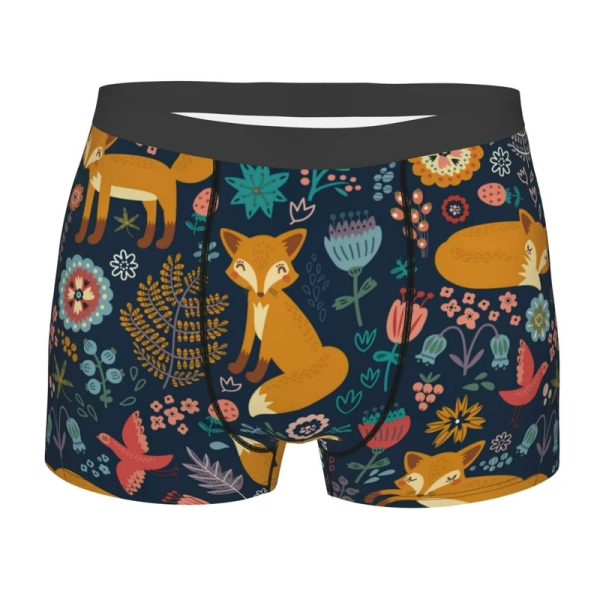 Boxer