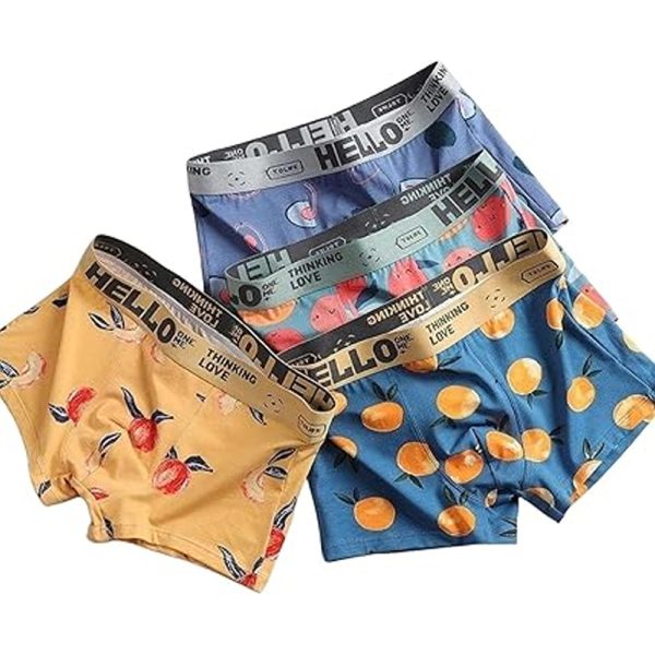 Boxer