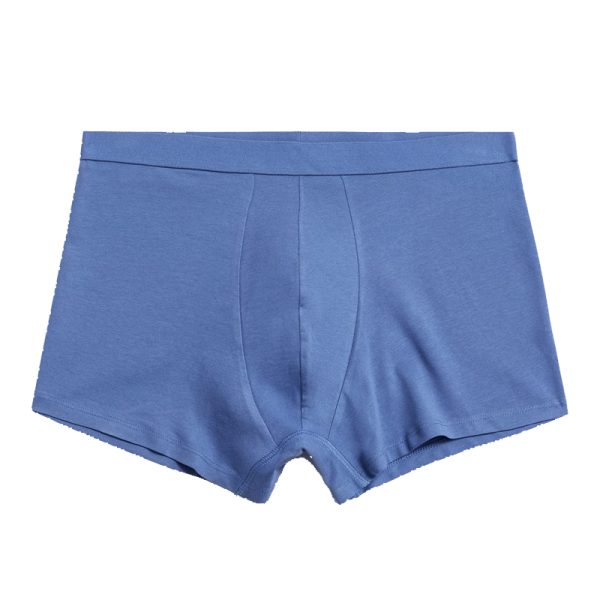 Boxer