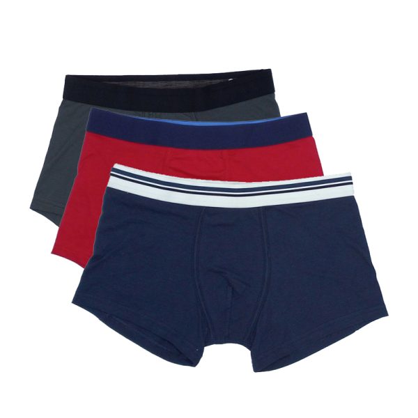 Boxer